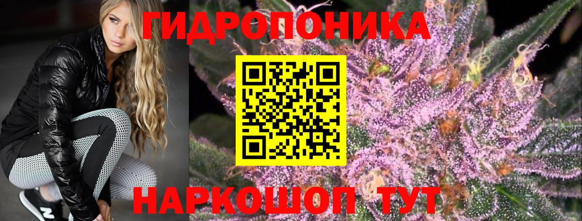 Шишки марихуана SATIVA & INDICA  Шишки марихуана VHQ  Махачкала  Вход с VPN  Марихуана VHQ 